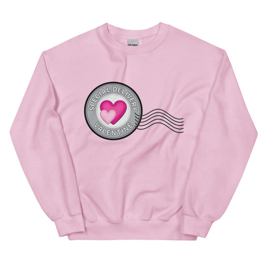 Pink Valentine sweatshirt